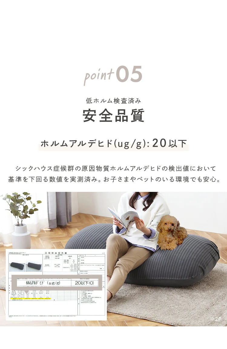 リバーシブルビーズクッション RBC-1P 全2色10