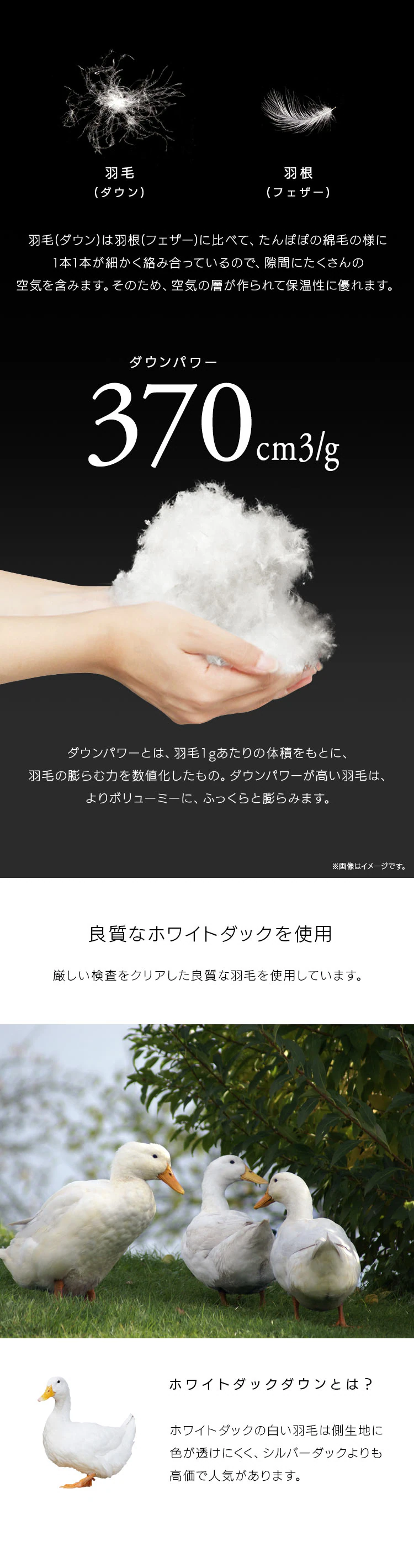 羽毛布団 シングル WDD90% 370dp 1.0kg 立体キルト 吸湿発熱 抗菌消臭 アイボリー3