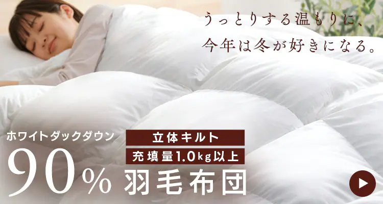 羽毛布団 セミダブル WDD90% 370dp 0.45kg 吸湿発熱 抗菌消臭 アイボリー 11