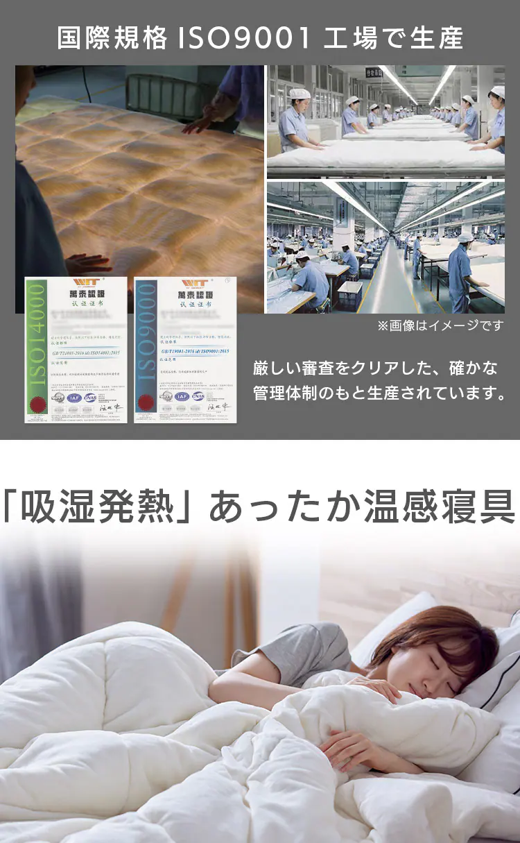 シンサレート掛け布団 ダブル ウルトラタイプ 洗濯可 防ダニ アイボリー 10