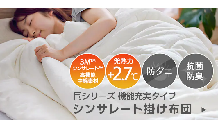 シンサレート掛け布団 シングル ウルトラタイプ 洗濯可 アイボリー 10