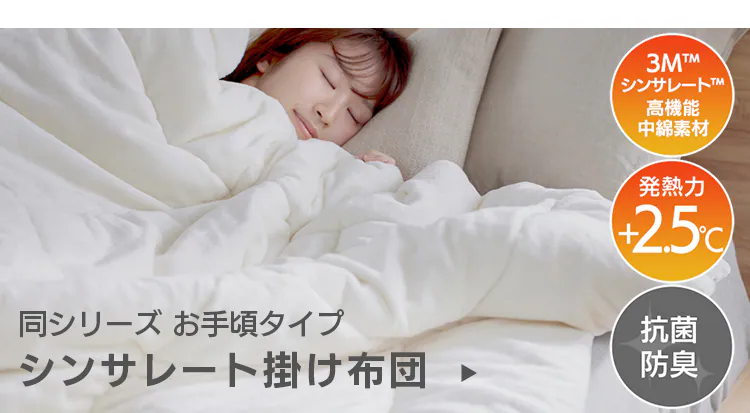 シンサレート掛け布団 ダブル ウルトラタイプ 洗濯可 防ダニ アイボリー 12