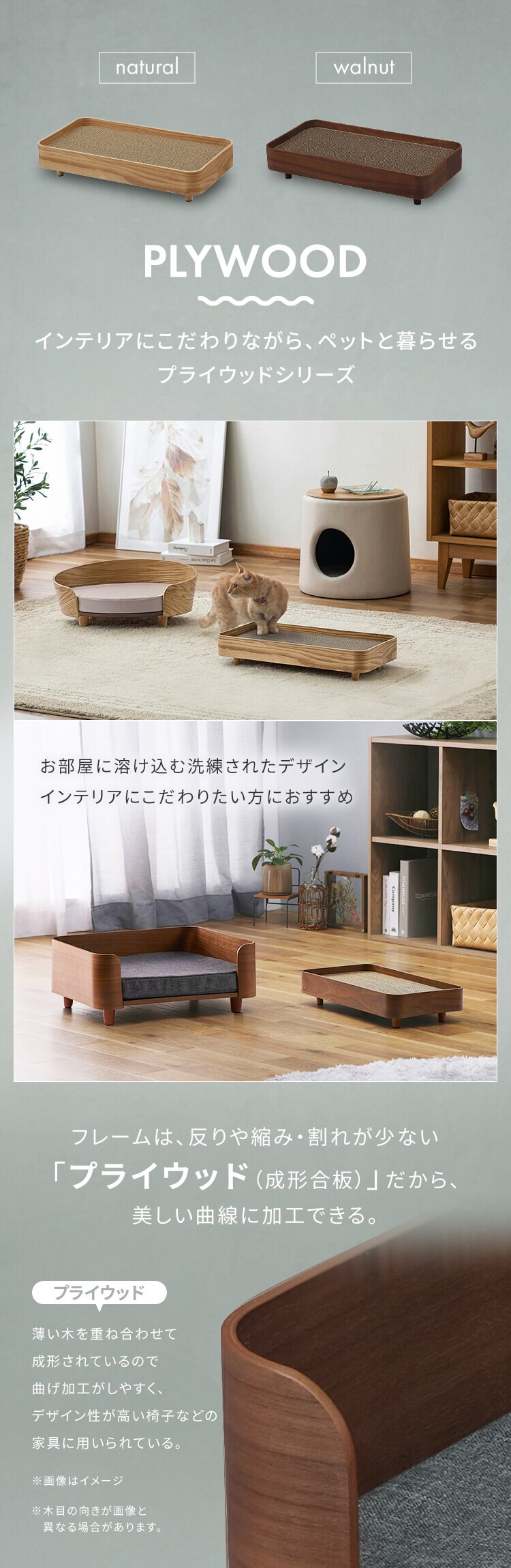 プライウッド・ボウル（ウォールナット材）