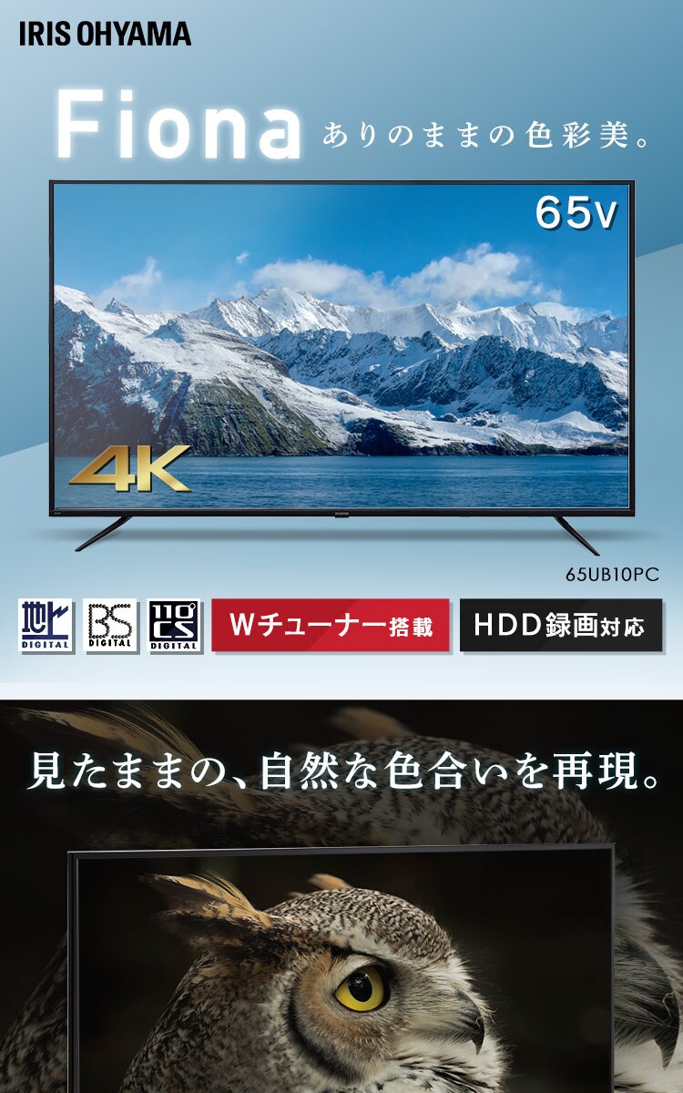 65型4K液晶テレビ IRIS 65UB10PC