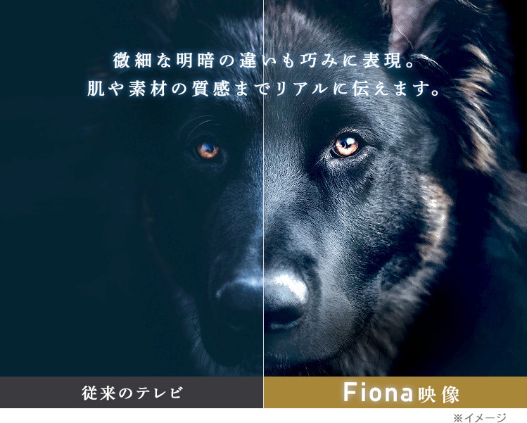 テレビ 40V型 Fiona 40FB10PB5