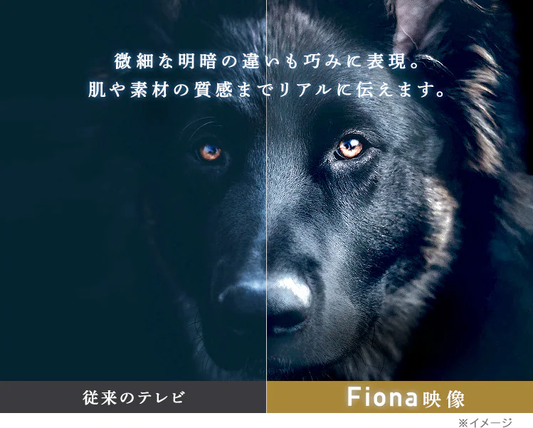 テレビ 32V型 Fiona 32WB10PB5