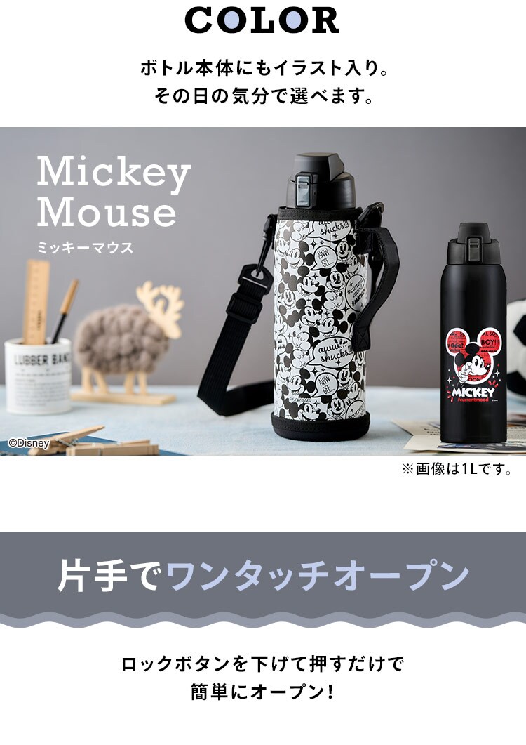 ステンレスケータイボトルダイレクトボトル DB-1000D 全2種1