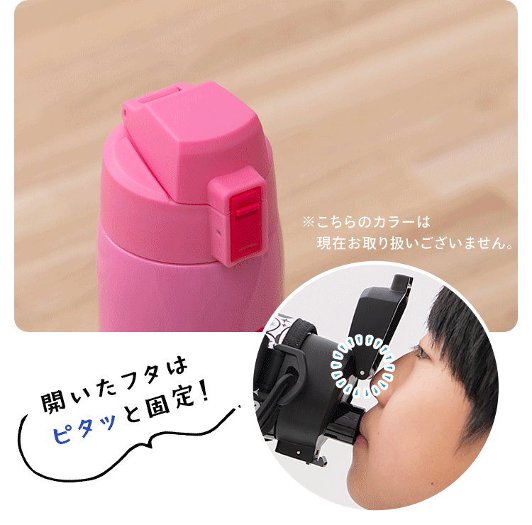 ステンレスケータイボトルダイレクトボトル DB-1000D 全2種2