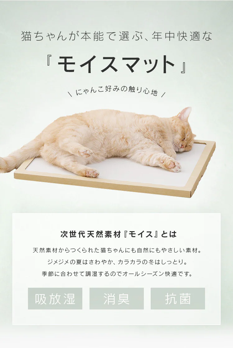 猫用珪藻土マット NECOCOCHI ねここち ナチュラル1