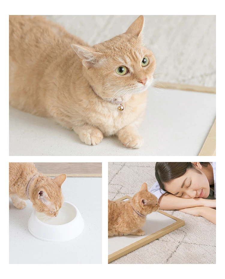 猫用珪藻土マット NECOCOCHI ねここち ナチュラル7