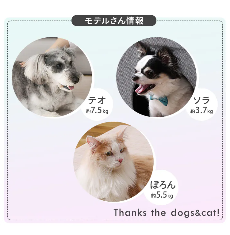 【今なら!シーツおまけ付き選べる】ペットマット ロングタイプ3