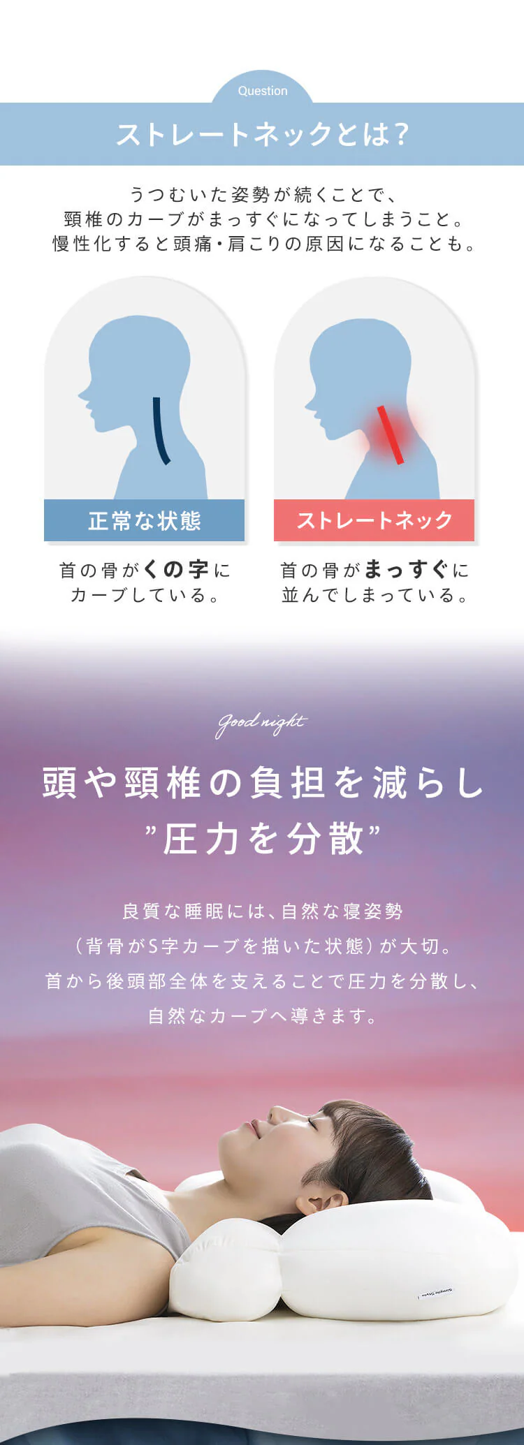 枕 ストレートネックケア 首サポート PLW-SNB4558 1