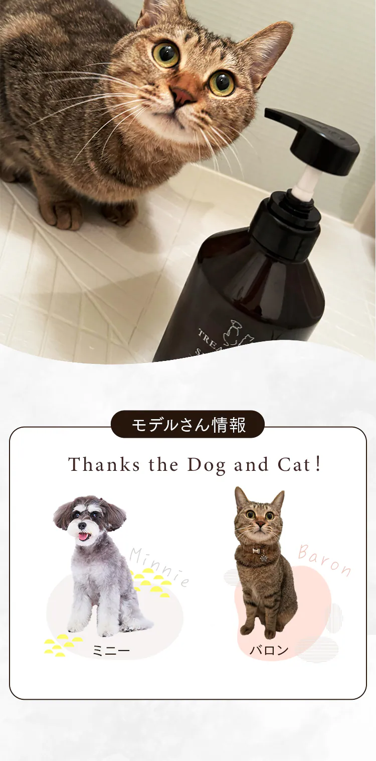 トリートメントインシャンプー ボタニカルソープの香り 400ml P-TS400 ペットシャンプー7