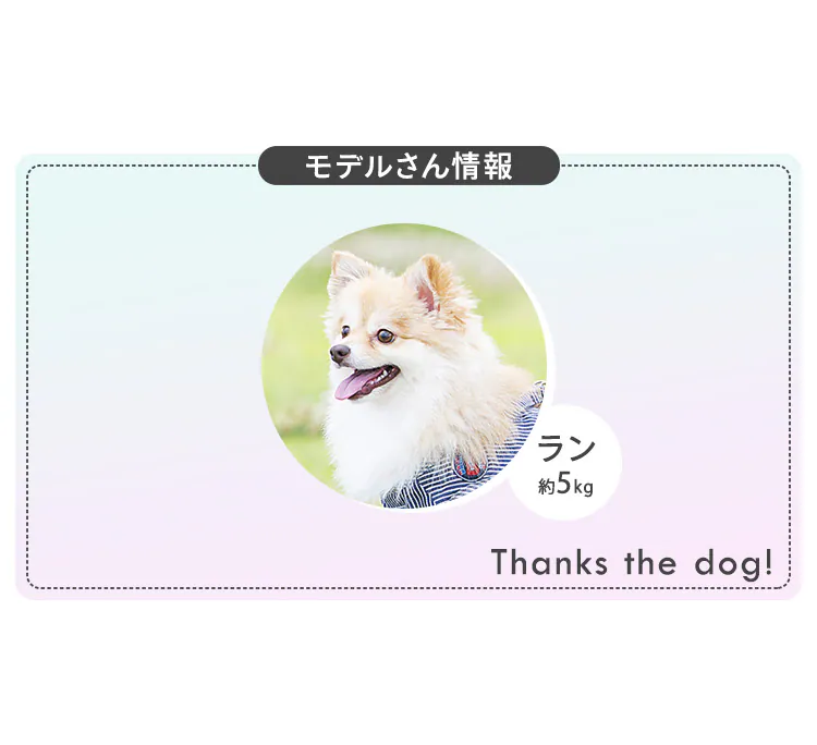 ペット用マナー袋3