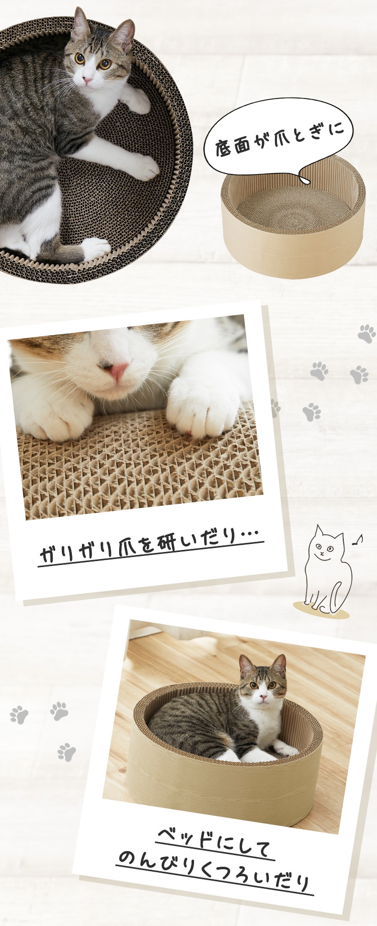 ☆ 素敵なご縁があり、愛媛県で砥部焼の制作をされている