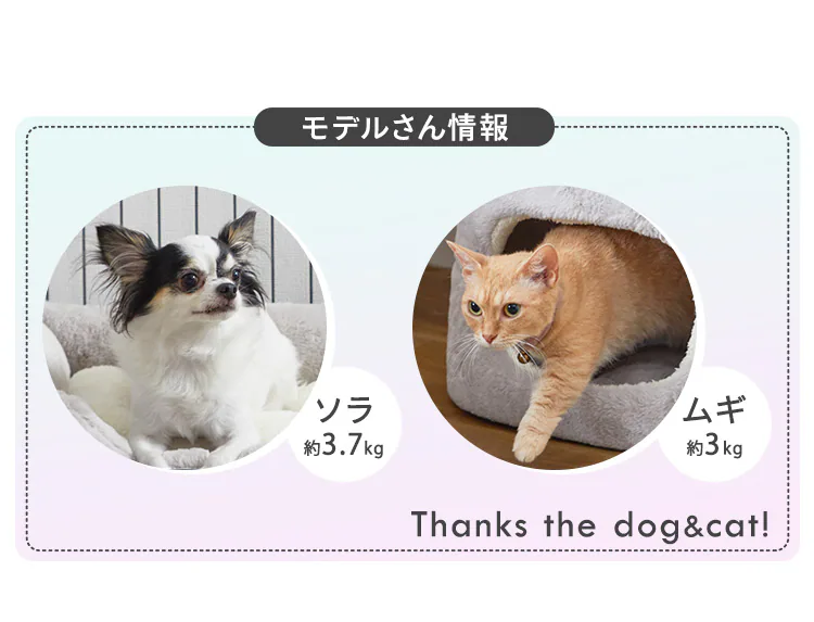 スクエアペットベッド PSB-530 グレー10