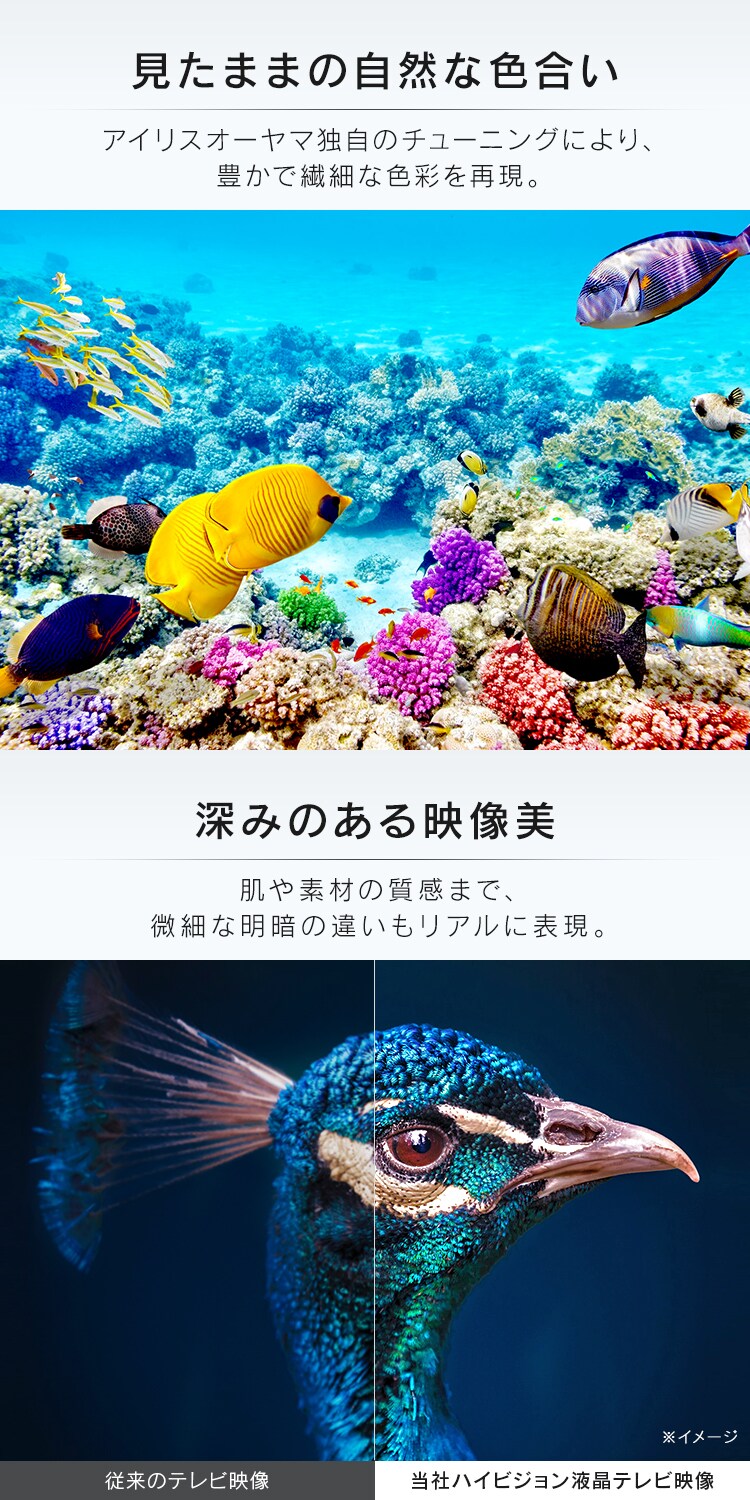 LUCA 液晶テレビ 40V型 LT-40E420B1