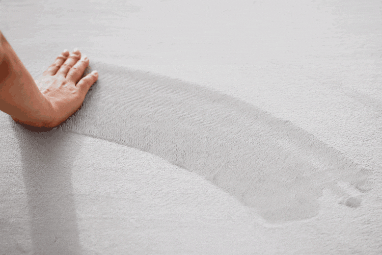 ラグ ラ・クッション マイクロムートン 極厚 185×240cm ACRMG-1824 ベージュ 5