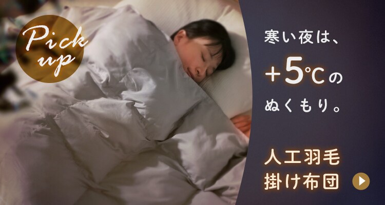 羽毛布団 WDD85% 1.0kg シングルロング 【直送】 【プラザセレクト】0