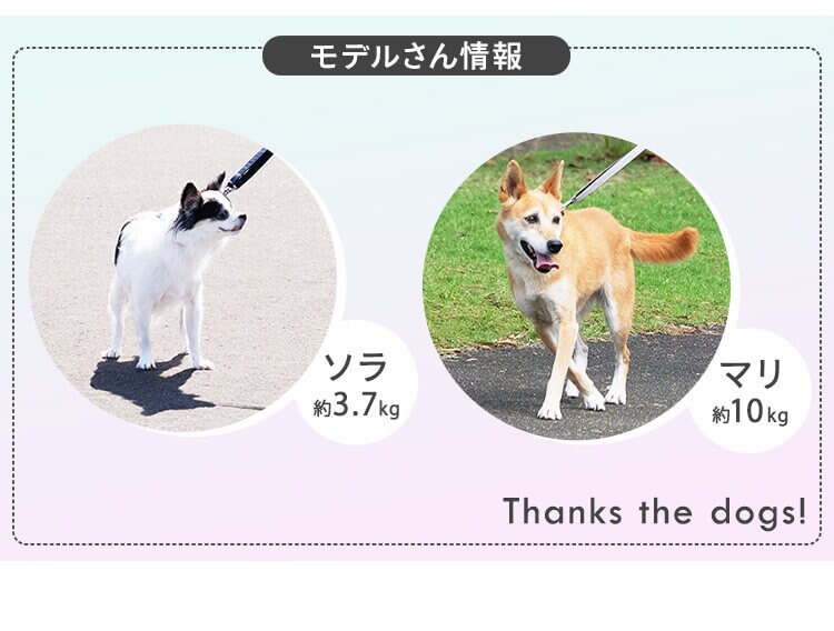 犬用 RM長さ調整リード RFM-NLC32 グレー 散歩 犬 リード5