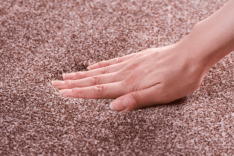 ラグ ラ・クッション 抜染 185×240cm ACRB-1824 ブルー 2