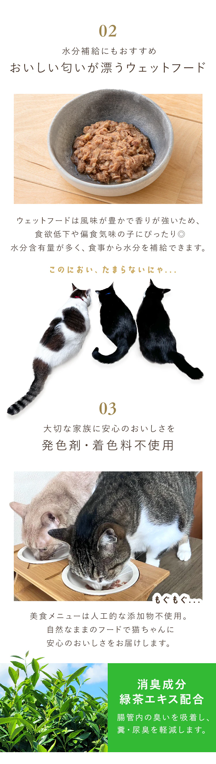 ★1,000円ぽっきり★ 健康サポート ウェットキャットフード 美食メニュー 全種類お試し!バラエティセット2