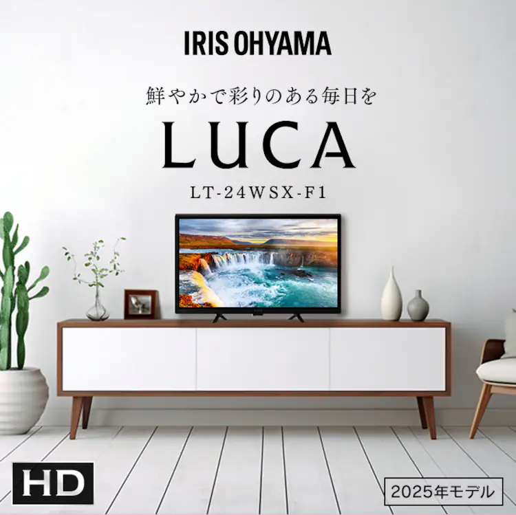 LUCA 液晶テレビ 24V型 LT-24WSX-F10