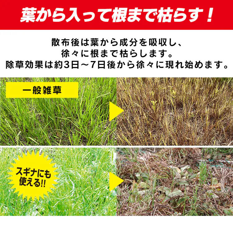 うすめて使う速効除草剤 WSJ-N5001