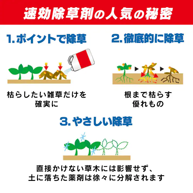 うすめて使う速効除草剤 WSJ-N5002
