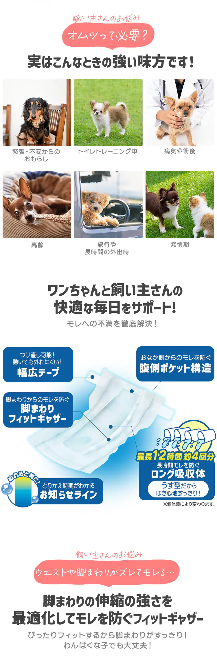 【女の子用】【342枚】犬 おむつ ピタフィット S 57枚入×6袋   NPD-S57 犬 おむつ3