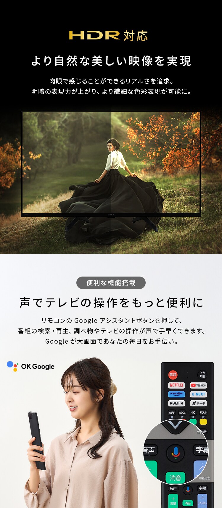 LUCA 液晶テレビ GoogleTV搭載 32V型 LT-32WGX-F14