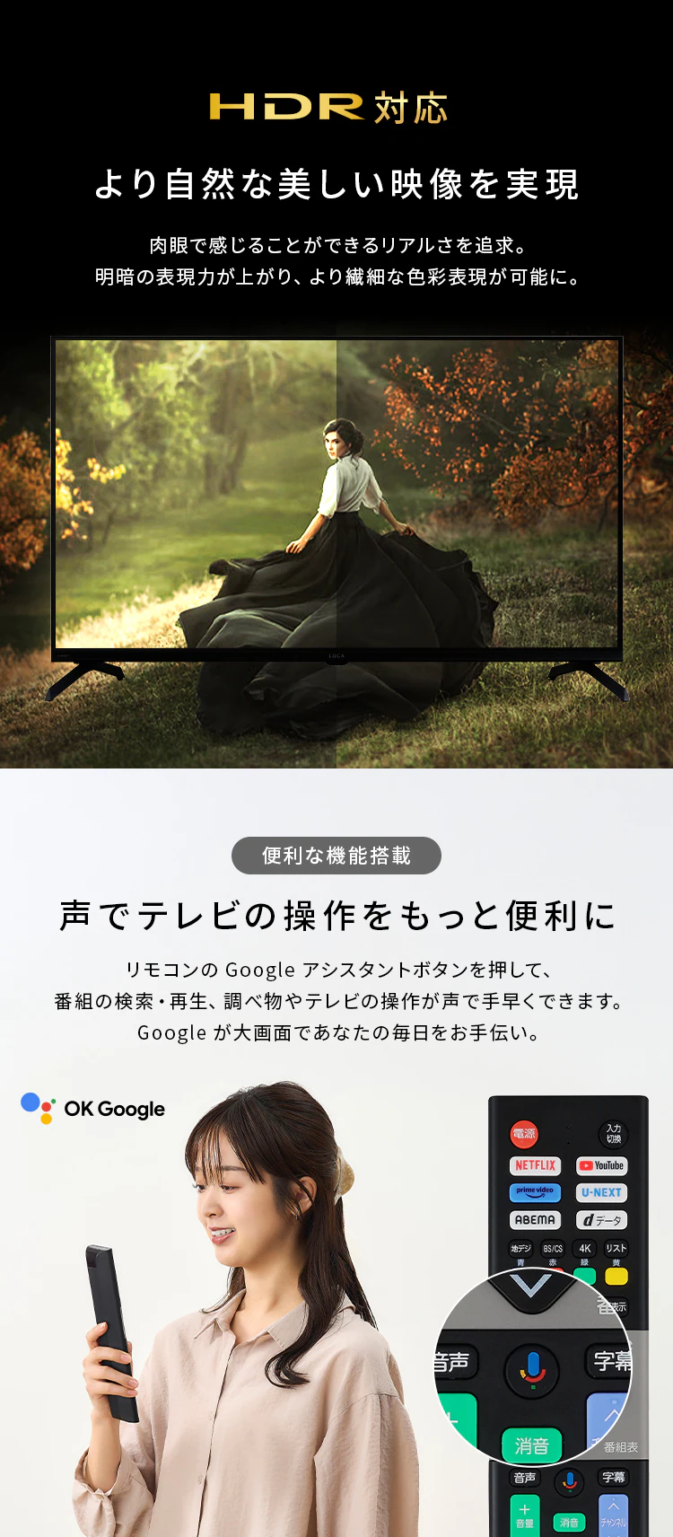 LUCA 液晶テレビ GoogleTV搭載 40V型 LT-40FGX-F14