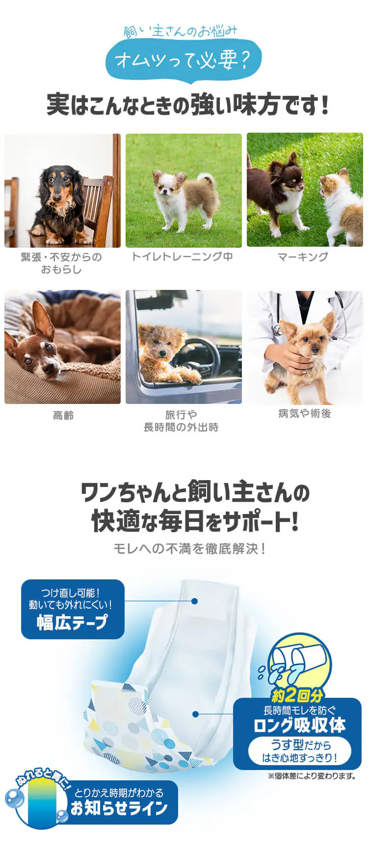 【男の子用】犬 おむつ ピタフィット  MNPD 全4サイズ3