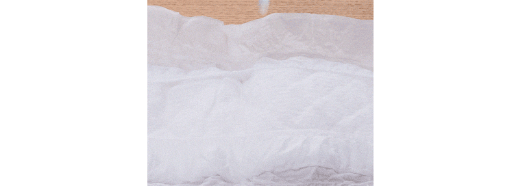 【男の子用】犬 おむつ ピタフィット  MNPD 全4サイズ5