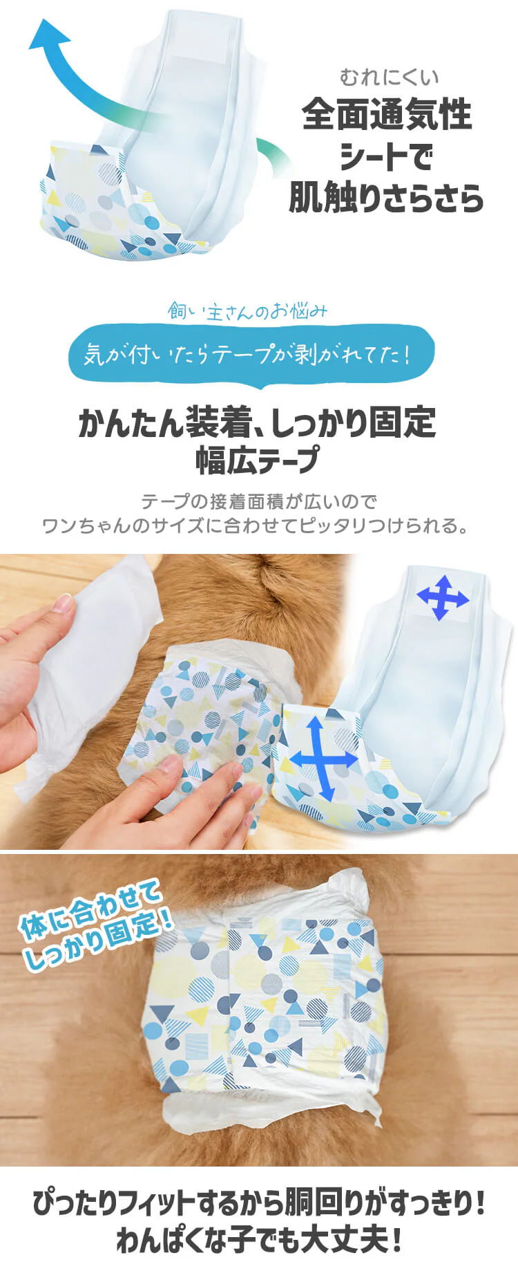 【男の子用】犬 おむつ ピタフィット  MNPD 全4サイズ6