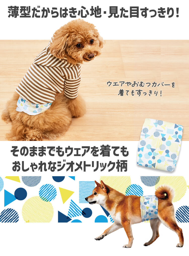 男の子用】【195枚】犬 おむつ ピタフィット M 65枚入×3袋 MNPD-M65 犬