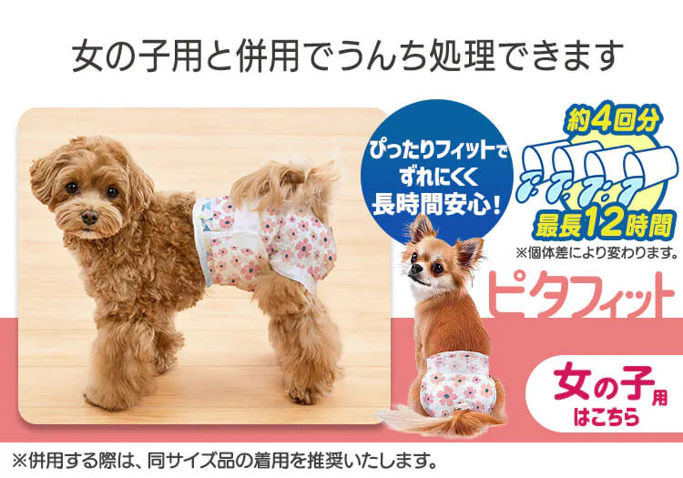 【男の子用】犬 おむつ ピタフィット  MNPD 全4サイズ12