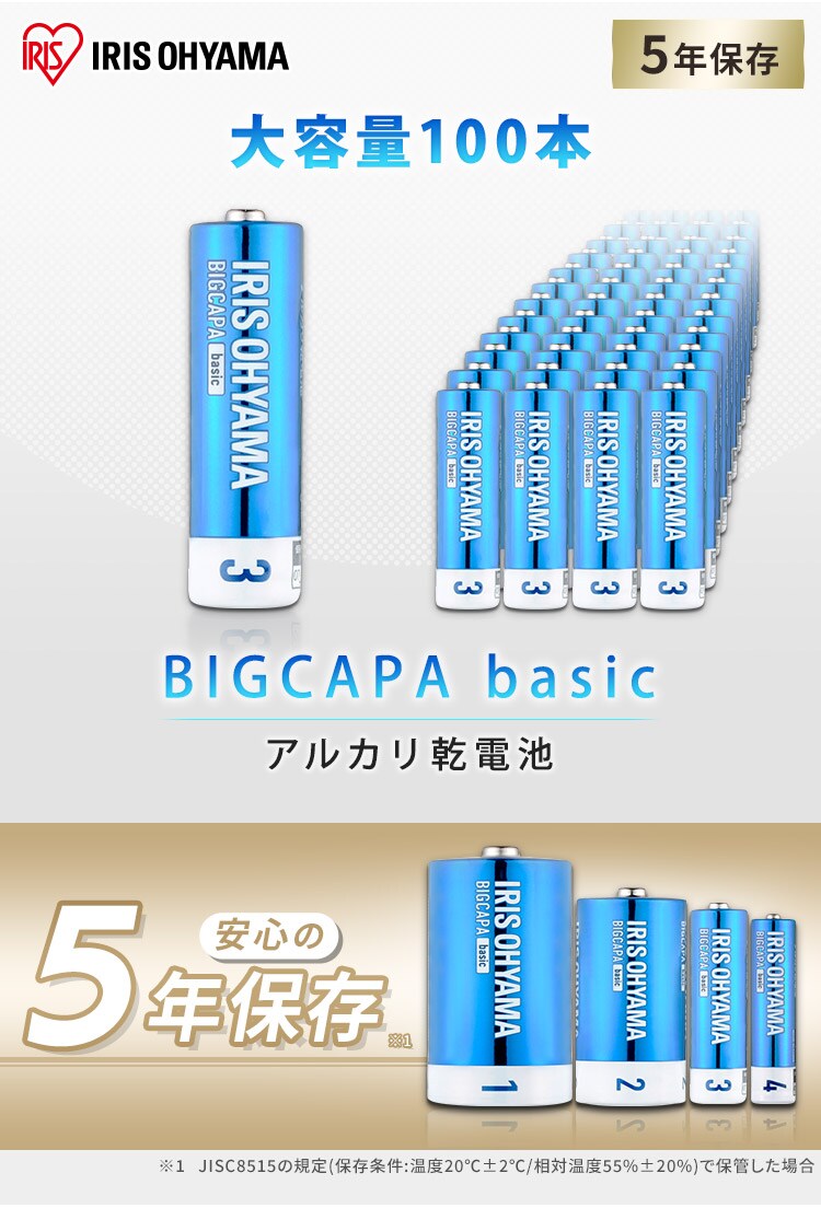 BIGCAPA basic α アルカリ乾電池 単3形×100本セット LR6Bba/100SET0