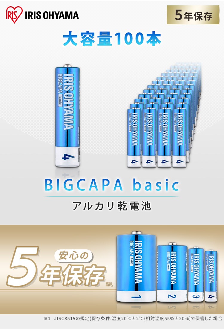 BIGCAPA basic α アルカリ乾電池 単4形×100本セット LR03Bba/100SET0