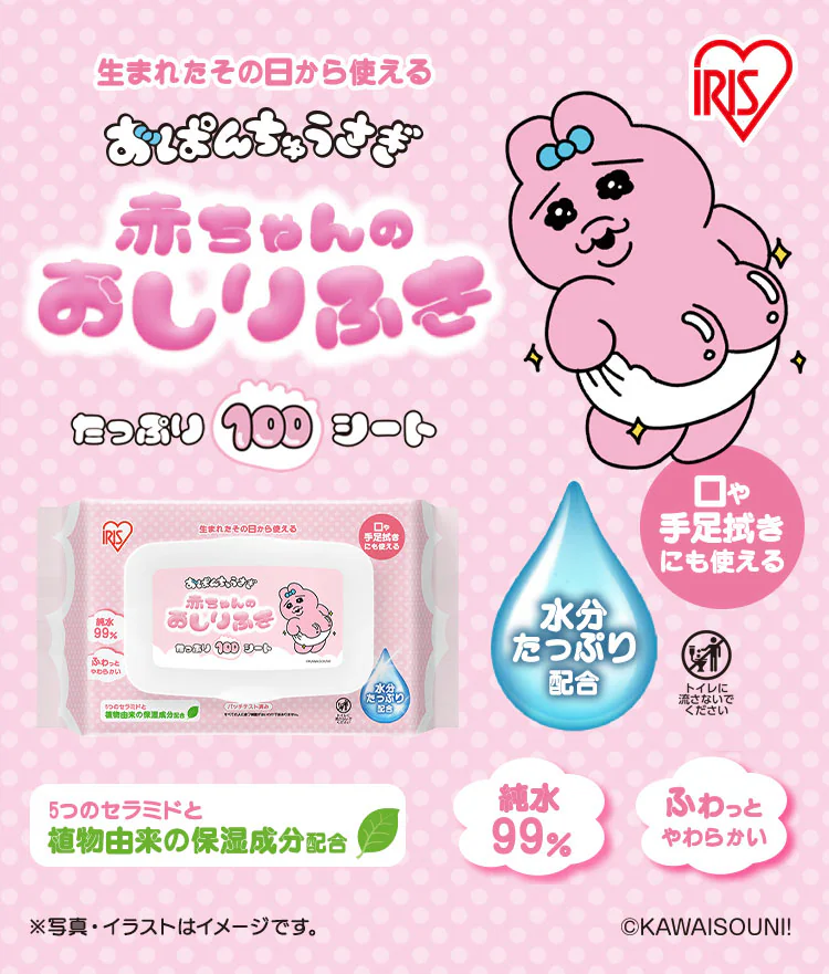 おぱんちゅうさぎ 赤ちゃんおしりふき 100枚入り OAO-1000