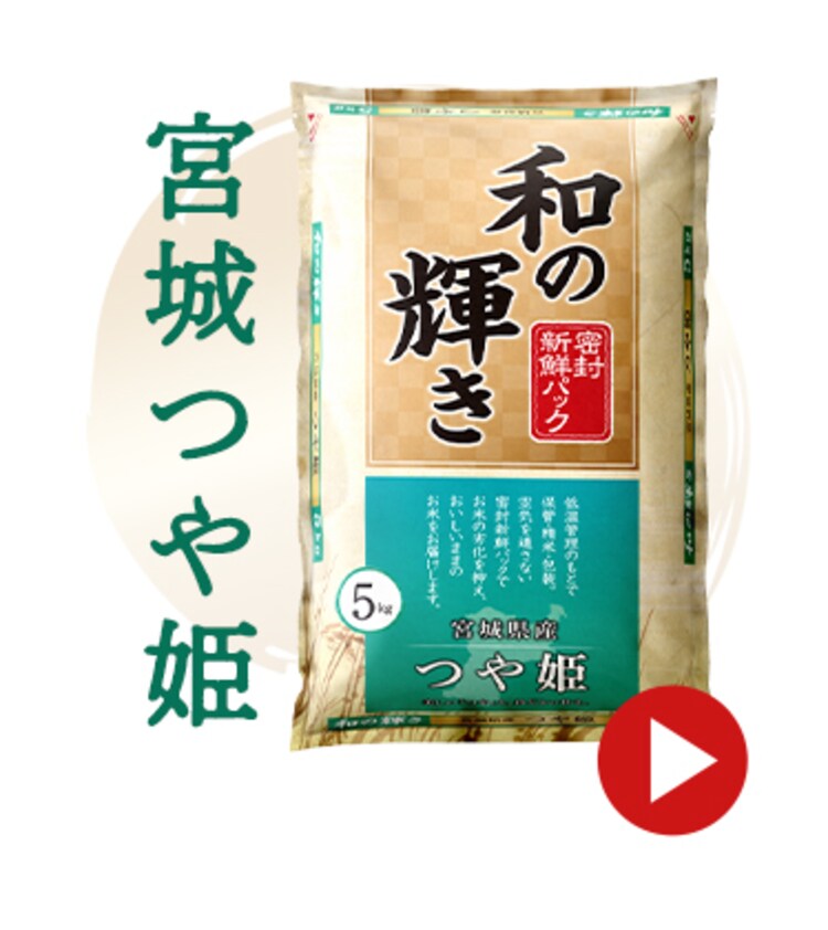 【10kg】和の輝き 国産こしひかり 5kg×2袋7