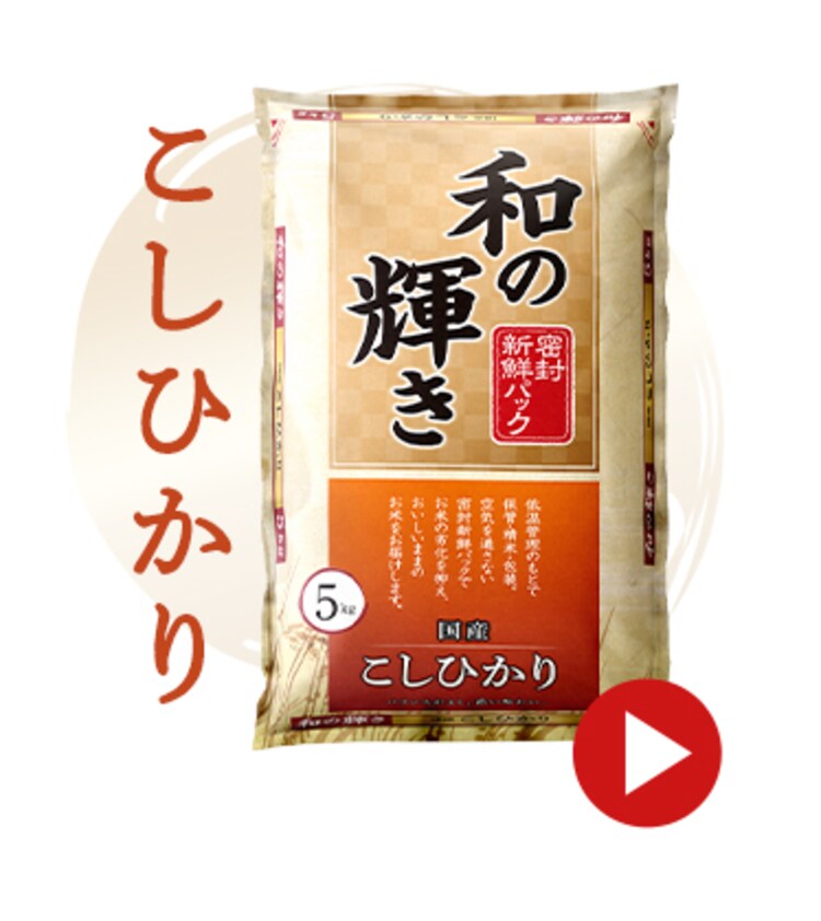 【10kg】和の輝き 国産こしひかり 5kg×2袋8