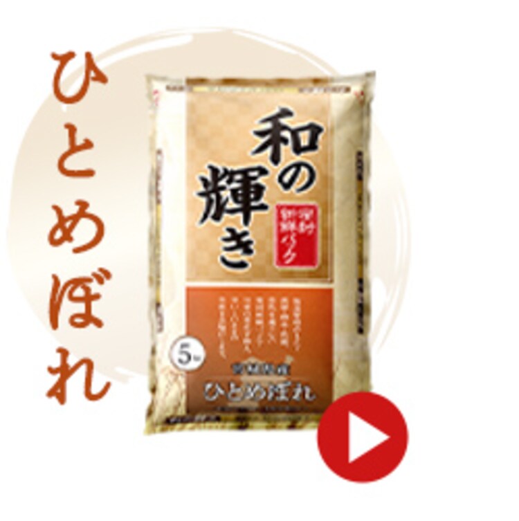 【10kg】 和の輝き 無洗米 国産ブレンド 5kg&times;2袋11