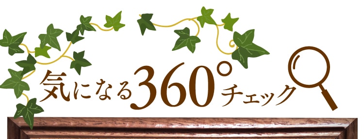 CɂȂ360`FbN