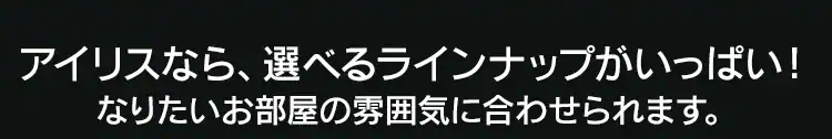 【2個セット】LEDフィラメント電球 E26口金 全方向タイプ 40W形相当 キャンドル色 LDA4C-G-FK レトロ風琥珀調ガラス製 ノーマルレトロタイプ13