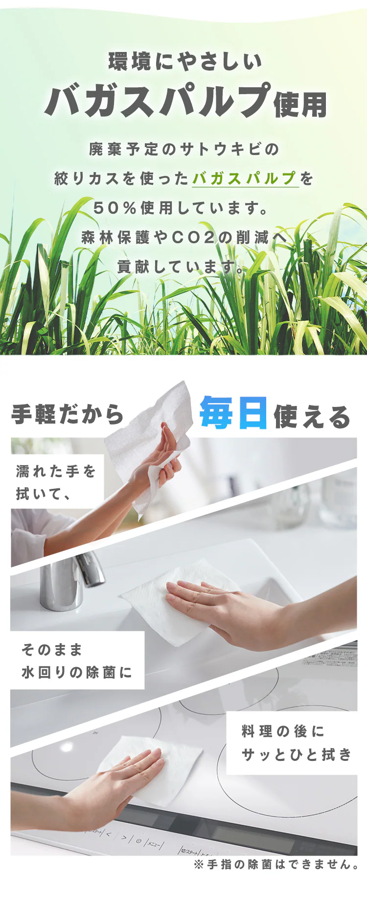 ペーパータオル 120枚 厚手 濡れると99%除菌 JPT-120 1