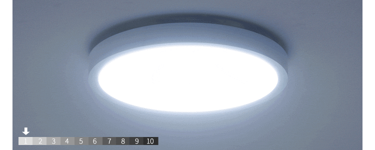 パネルライトフラット 8畳 CLP-8DL2