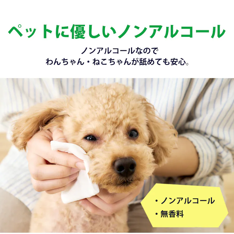 ★30%OFFクーポン★【1920枚】\なめても安心/ノンアルコール 無香料 ペット用ウェットティッシュ8P×3セット2