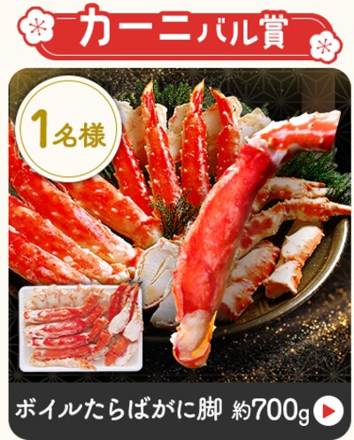 �J�[�j�o����