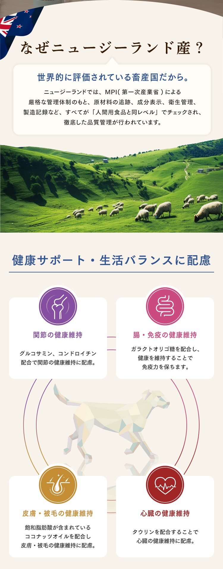 大地のレシピ 成犬用 DRD-C1K チキン1kg2